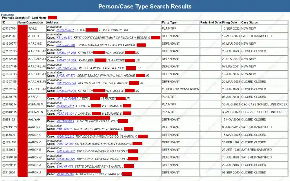 A screenshot displaying a person/case type search results showing information such as case ID number, name or corporation, address and case details, party type and end date, filing date and case status.